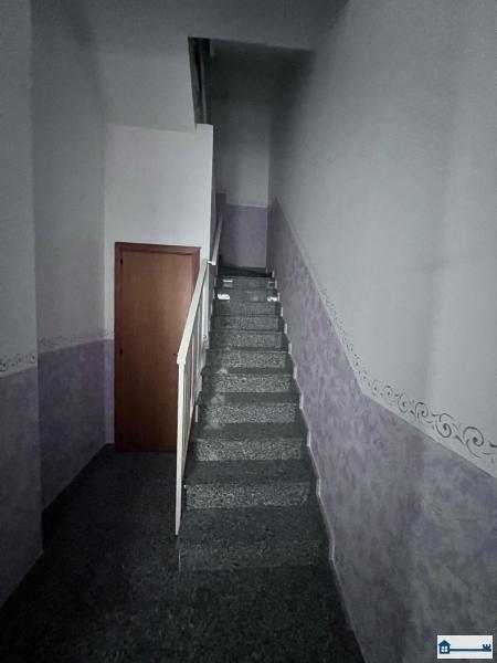 PHOTO-2025-03-17-17-55-23 (11).jpg